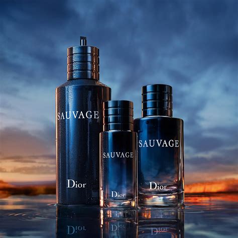 dior sauvage femme|sauvage Dior for men.